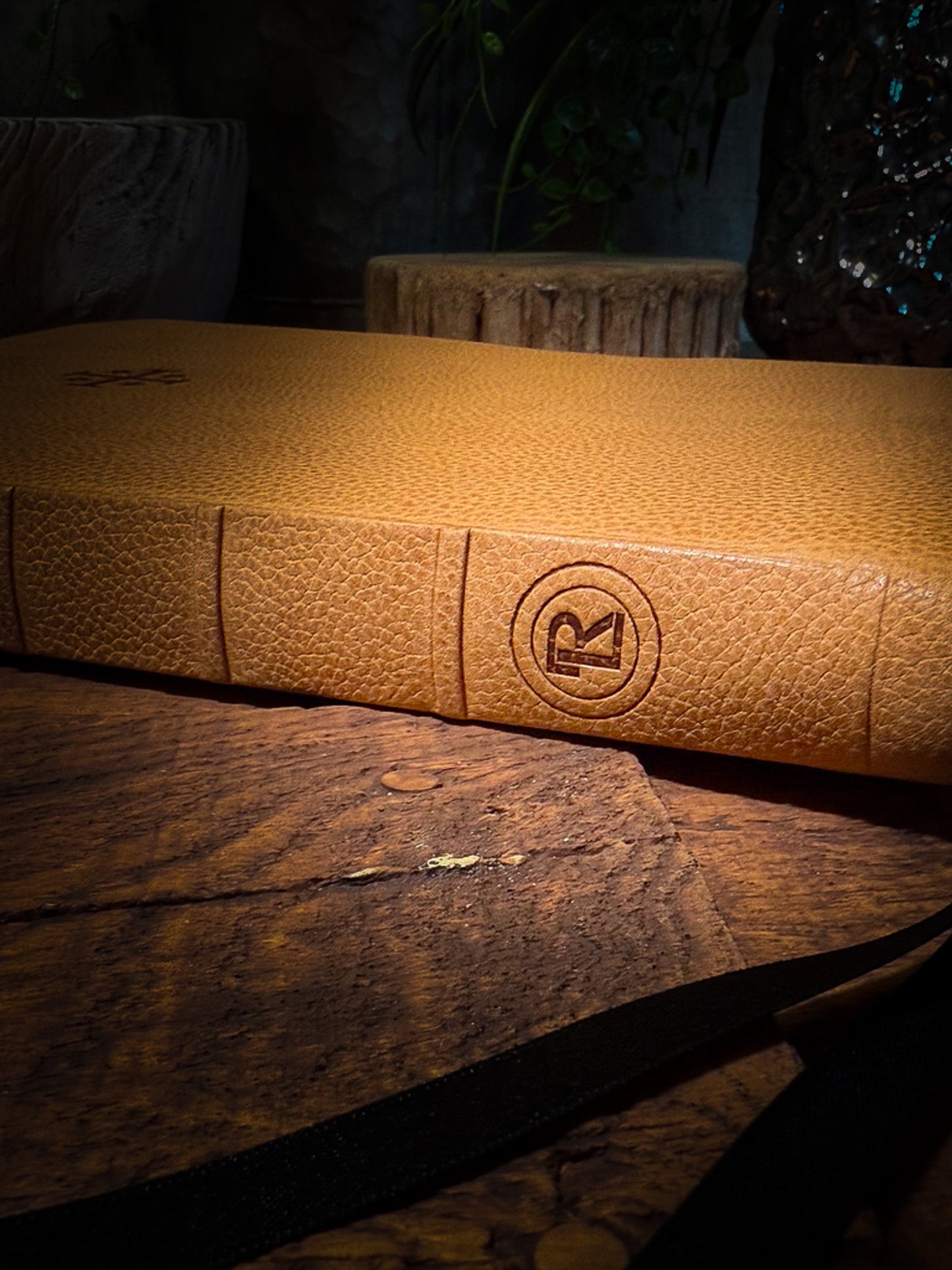 The Standard Series | NIV Large Print Thinline Bible Rebinding