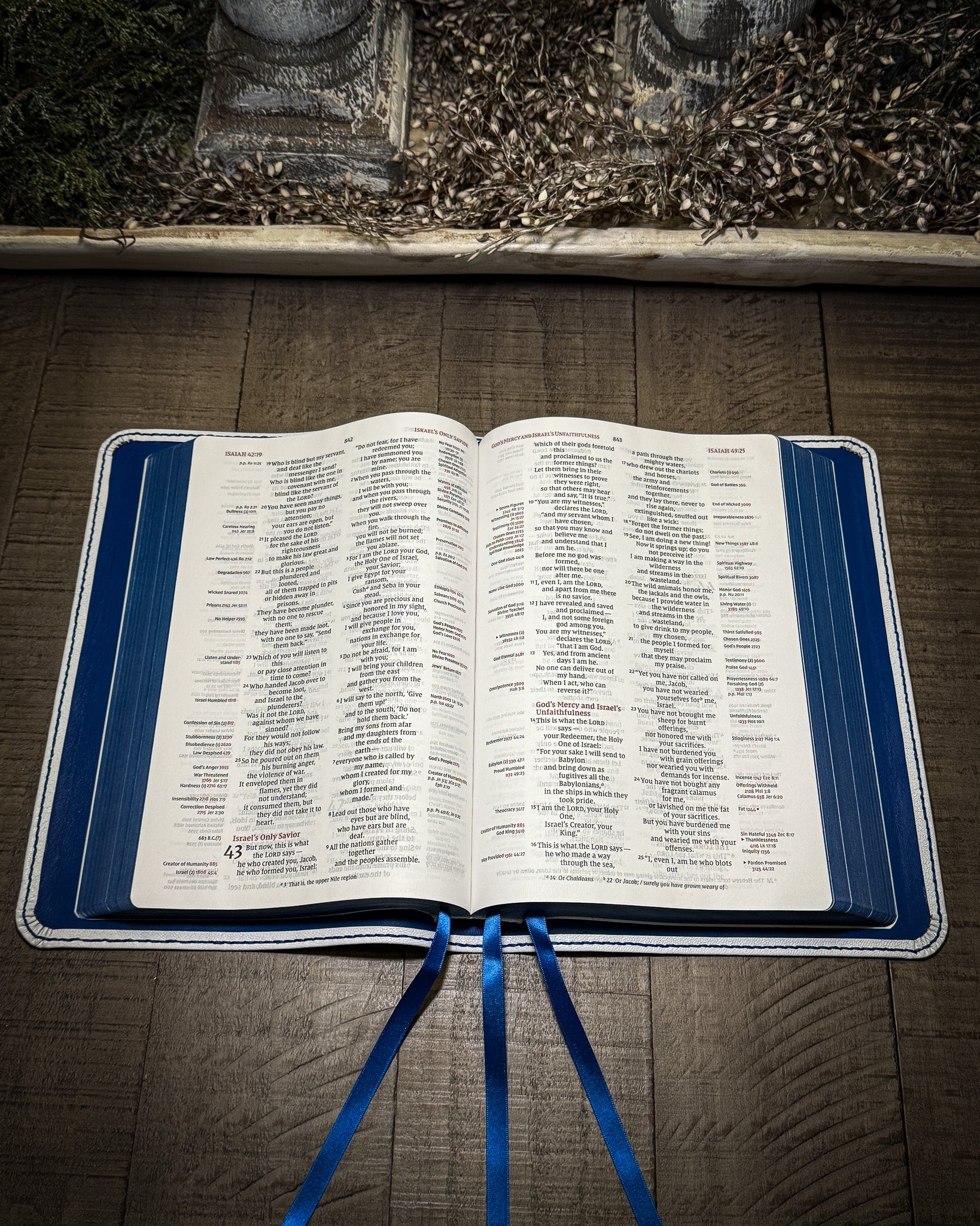 Bible Rebinding Page Dye