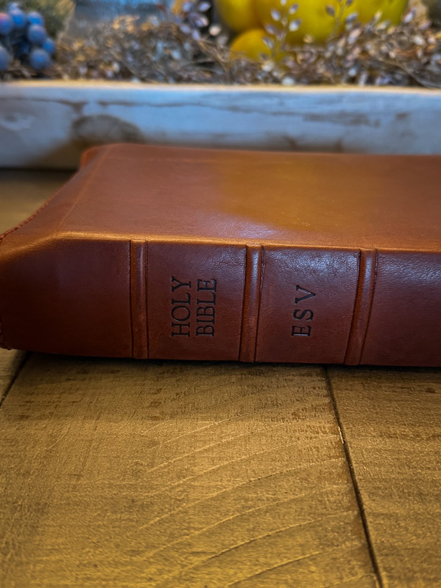 Cambridge ESV Clarion | La Perla Azzurra Old English - Marrone
