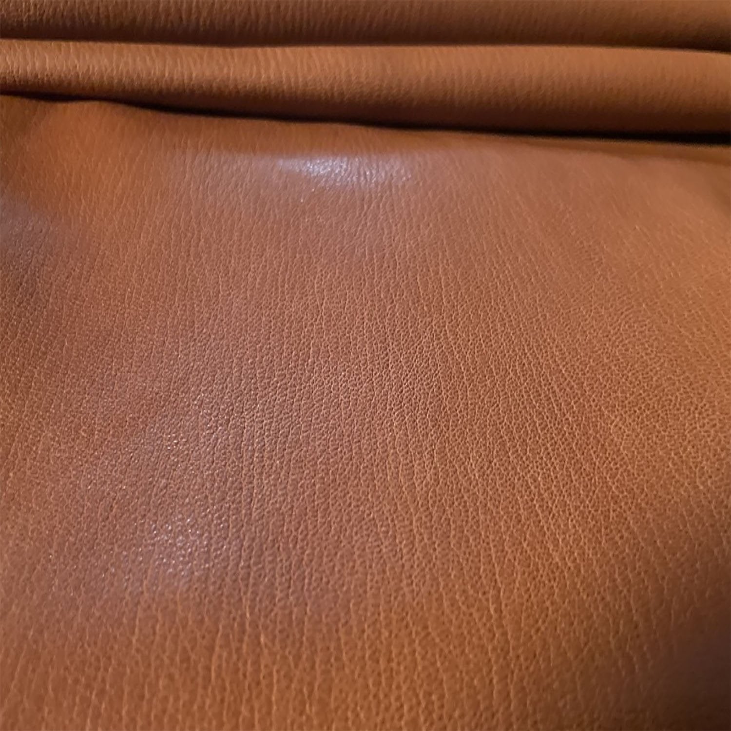 Bible Rebinding Leather-Capra Granulosa