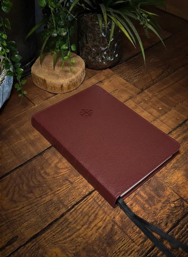 CSB Thinline | The Standard Bible Rebinding
