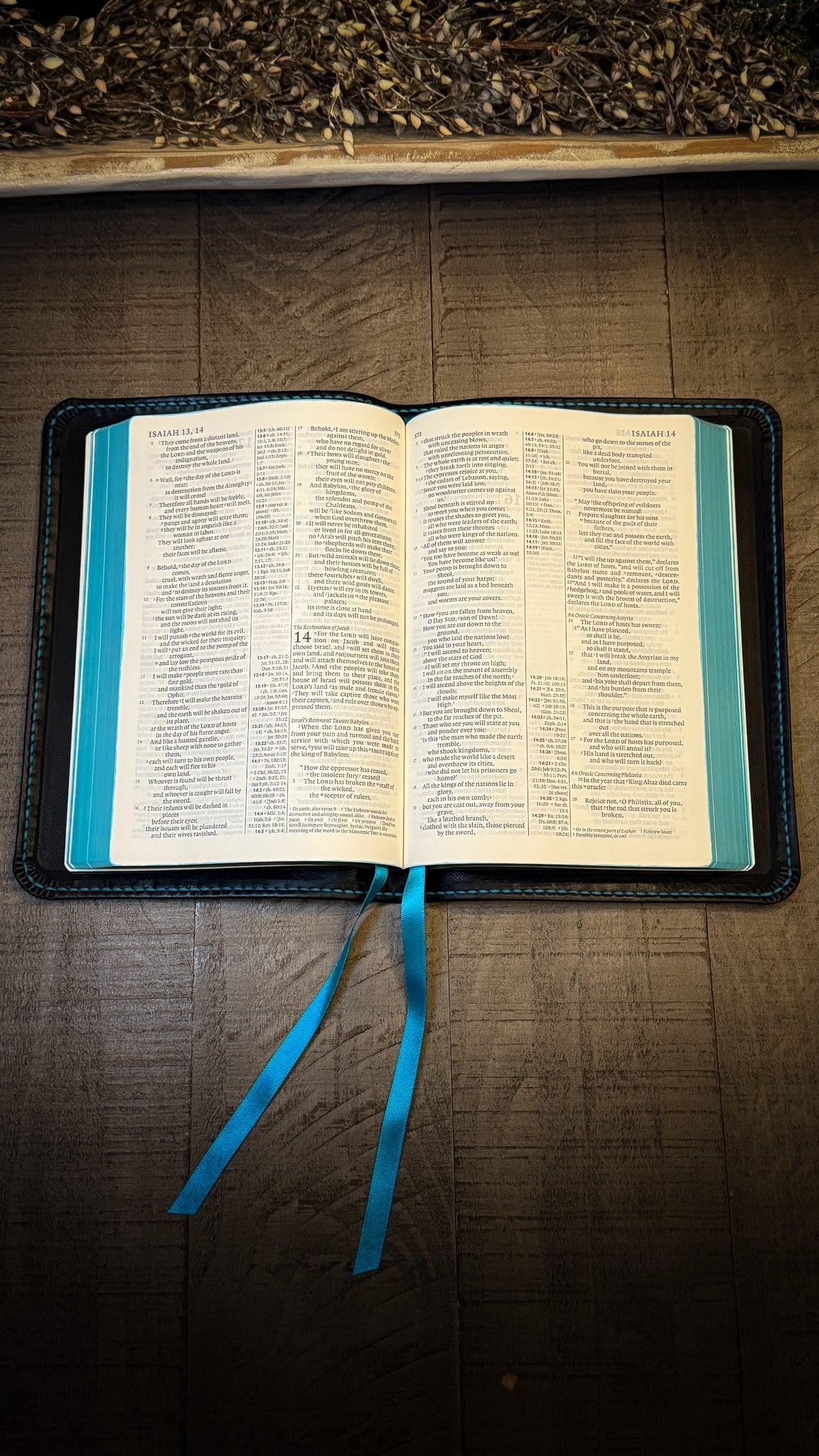 ESV Cambridge Diadem Bible Rebind in Badalassi Waxy