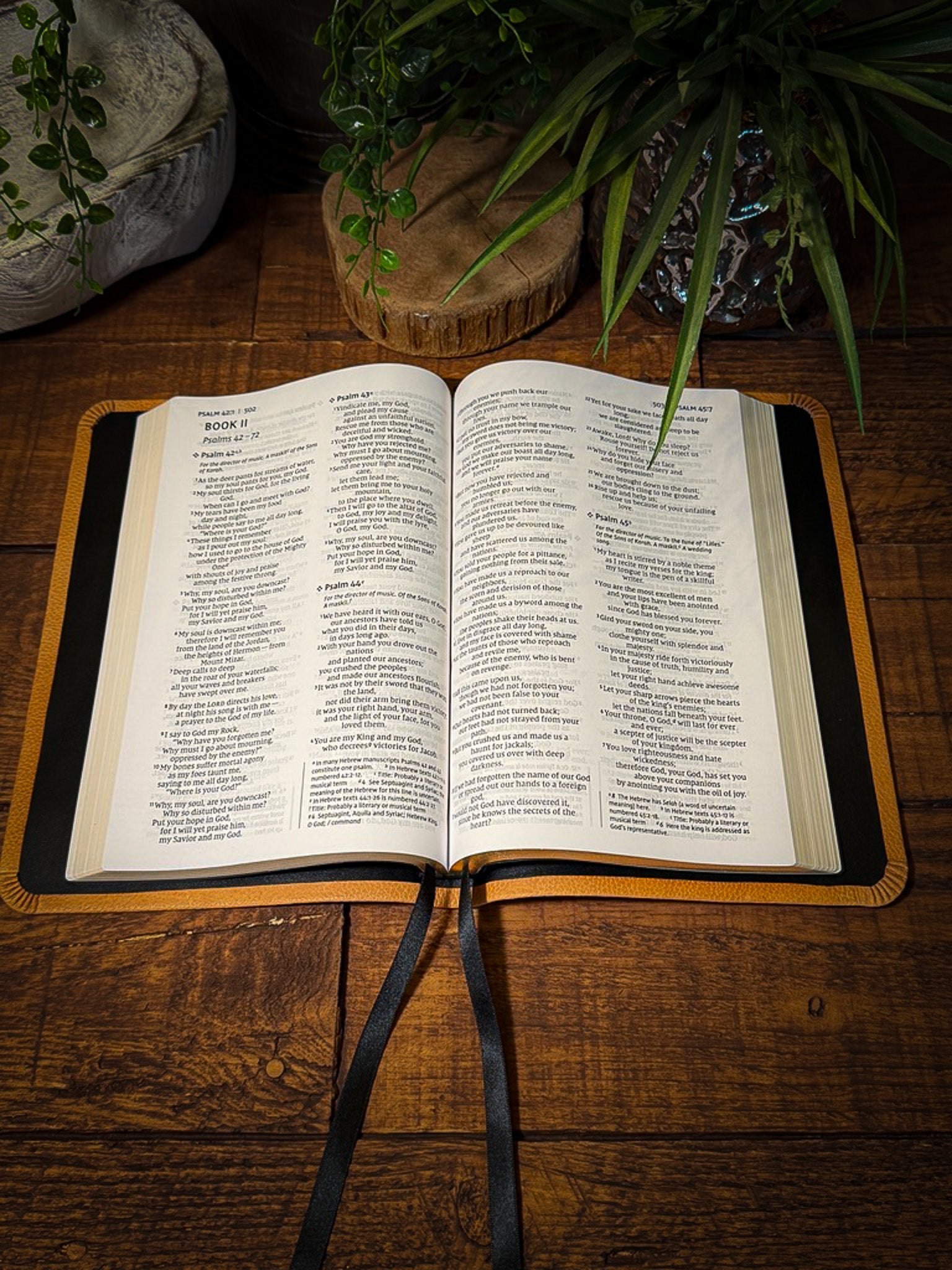 ESV Heritage | The Standard Bible Rebinding