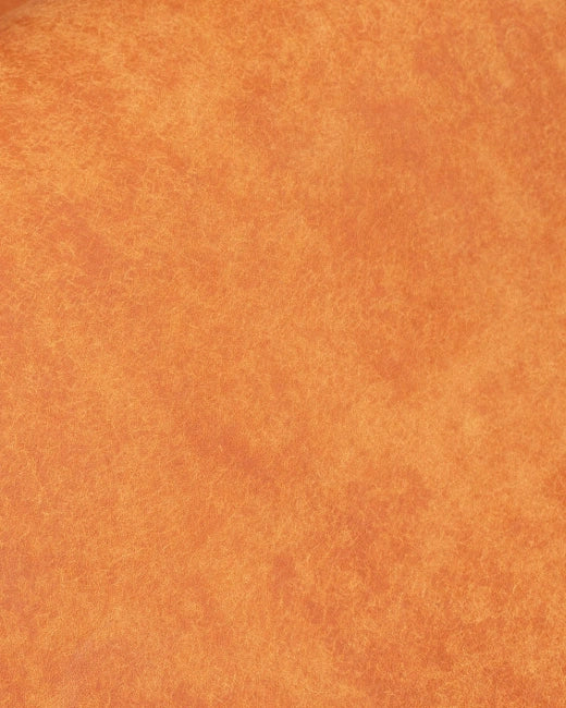 Bible Rebind Badalassi Pueblo Olmo