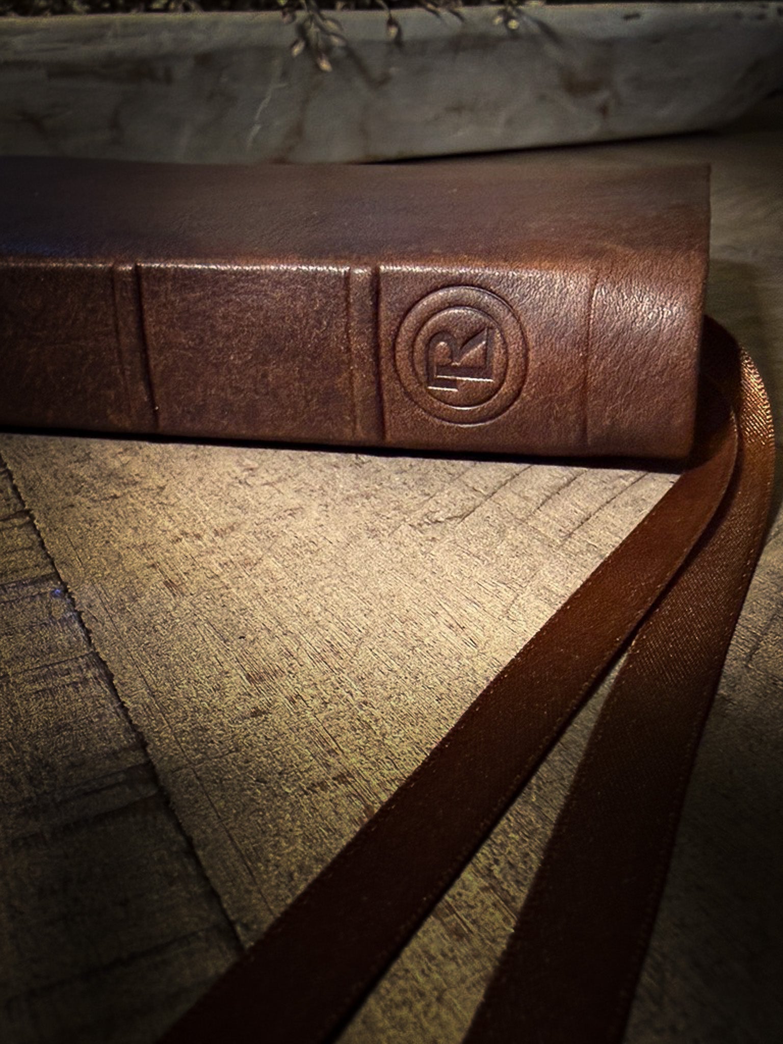 The Standard Series | ESV Large Print Thinline Bible Rebinding