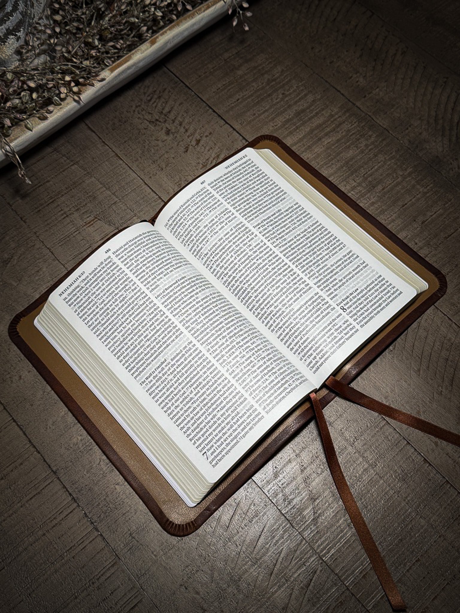 The Standard Series | ESV Large Print Thinline Bible Rebinding