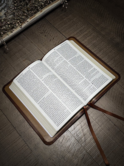 The Standard Series | ESV Large Print Thinline Bible Rebinding