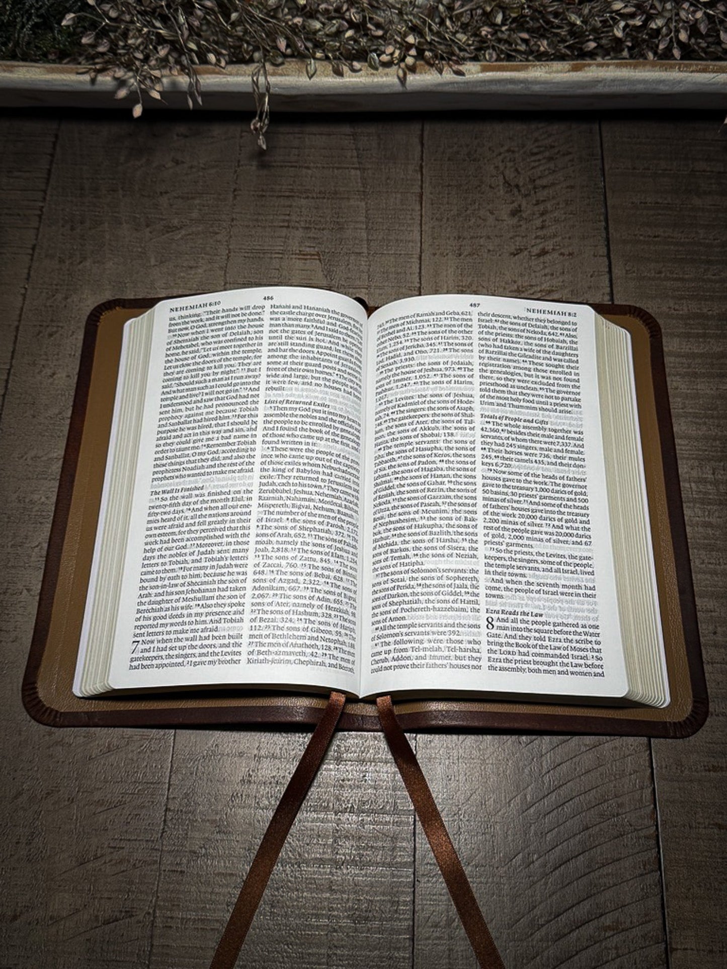 The Standard Series | ESV Large Print Thinline Bible Rebinding
