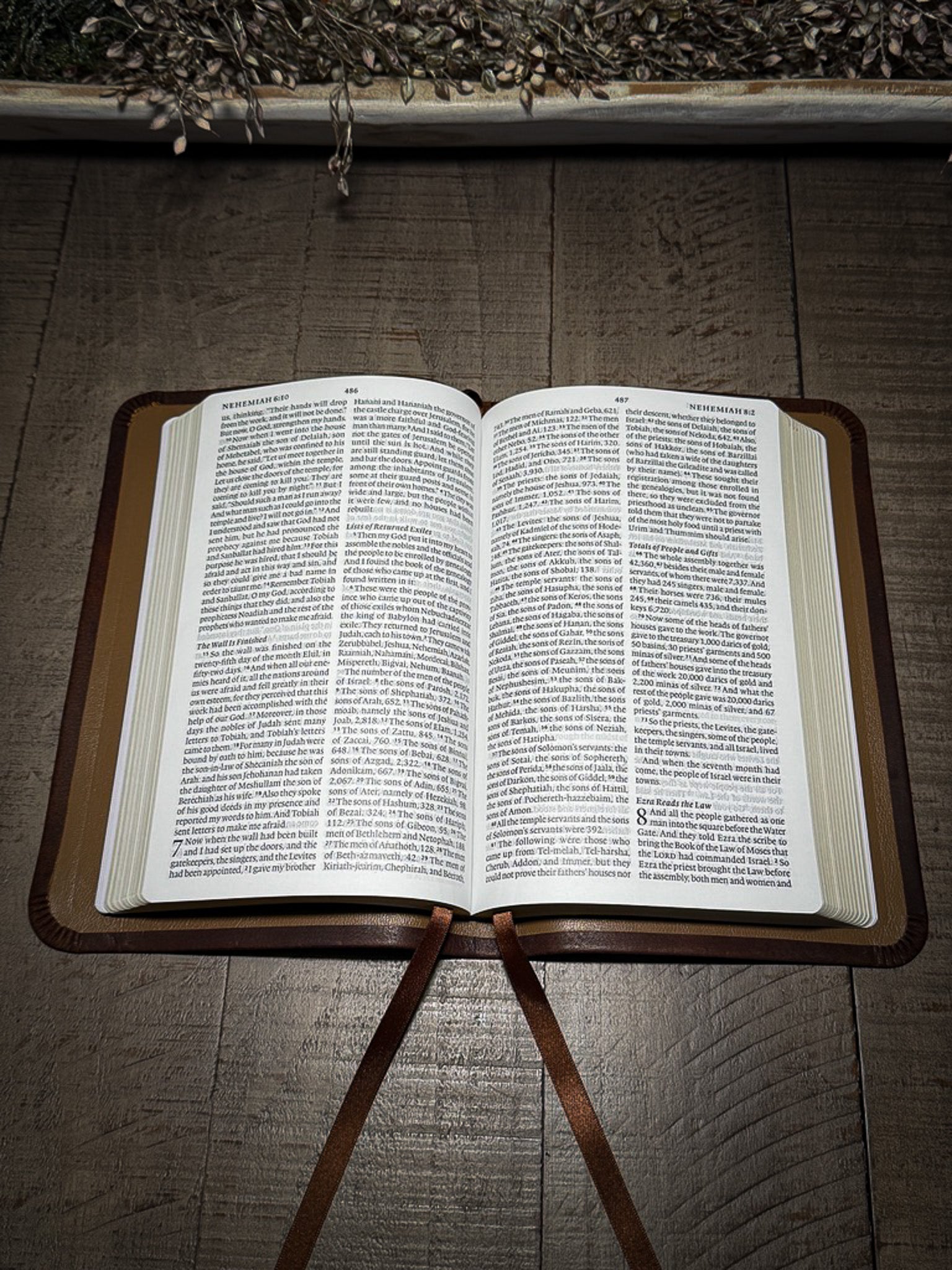 The Standard Series | ESV Large Print Thinline Bible Rebinding