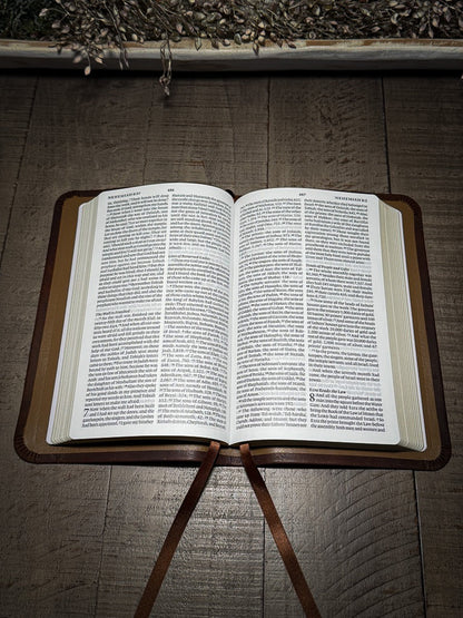 The Standard Series | ESV Large Print Thinline Bible Rebinding