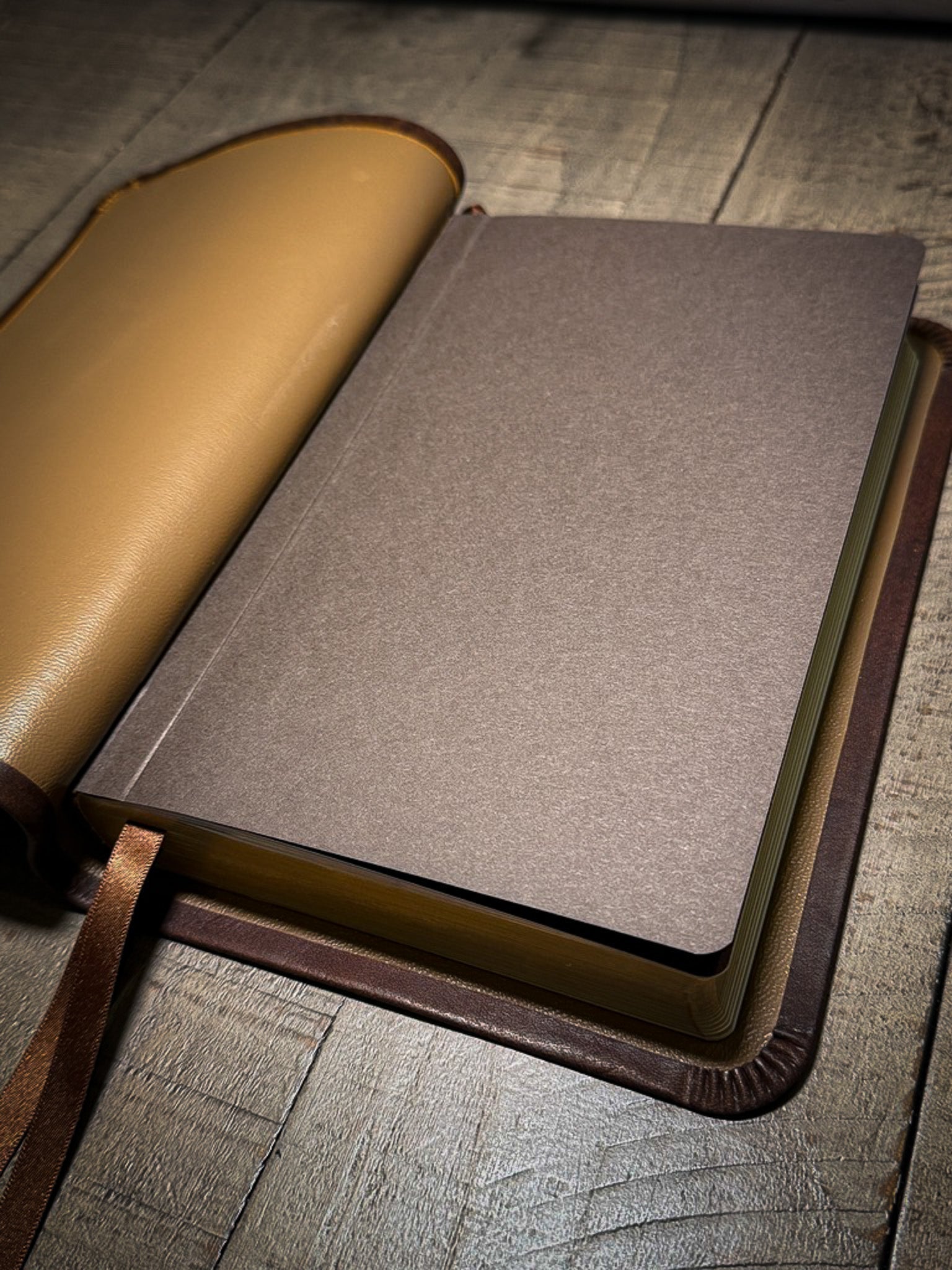 The Standard Series | ESV Large Print Thinline Bible Rebinding