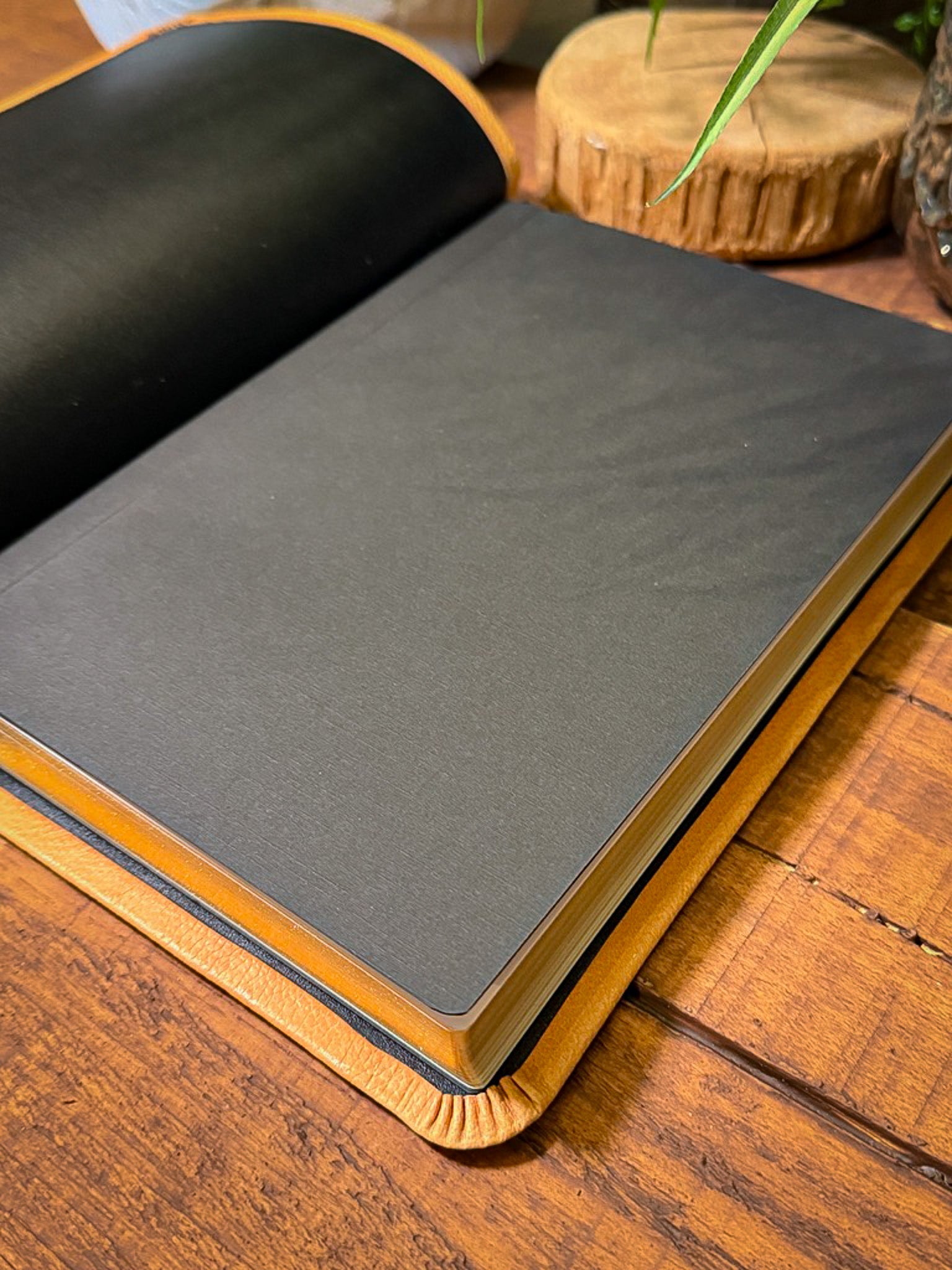 The Standard Series | NIV Large Print Thinline Bible Rebinding