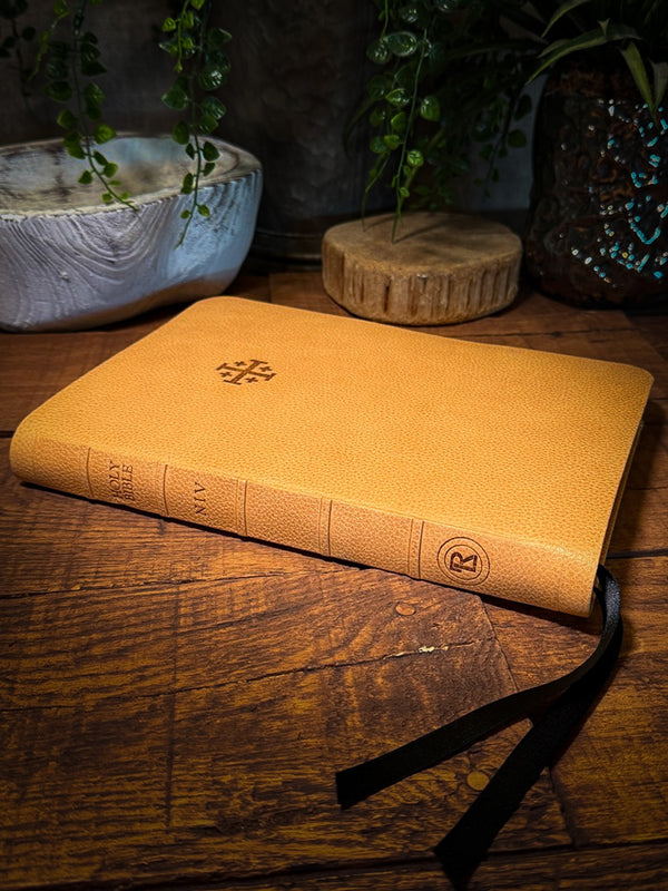 The Standard Series | NIV Large Print Thinline Bible Rebinding