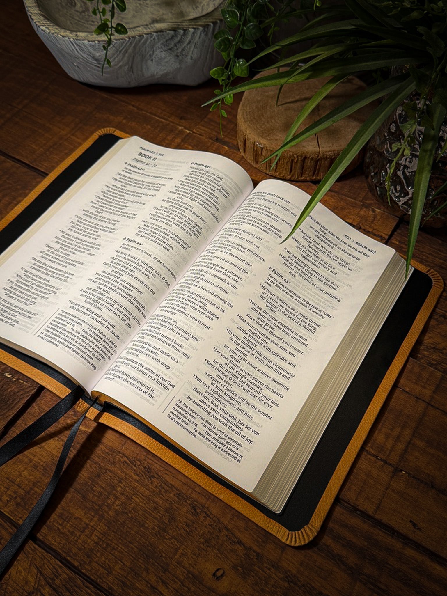 The Standard Series | NIV Large Print Thinline Bible Rebinding