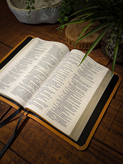 The Standard Series | NIV Large Print Thinline Bible Rebinding