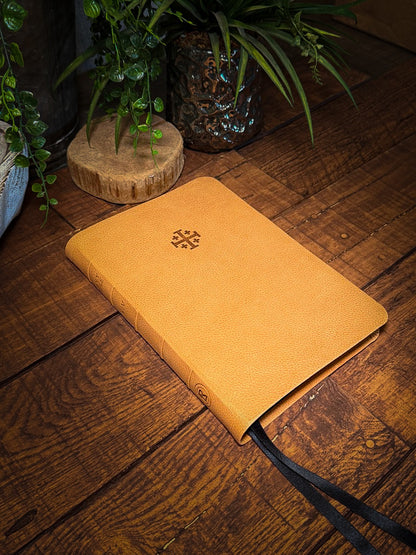 The Standard Series | NIV Large Print Thinline Bible Rebinding