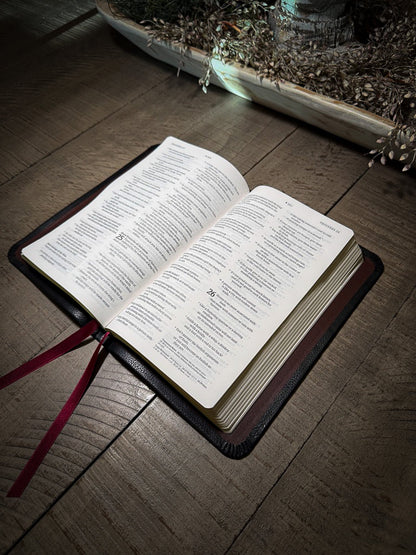 The Standard Series | NLT Large Print Thinline Bible Rebinding
