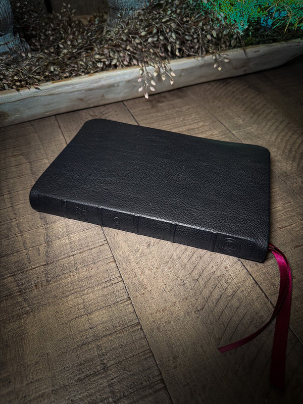The Standard Series | NLT Large Print Thinline Bible Rebinding