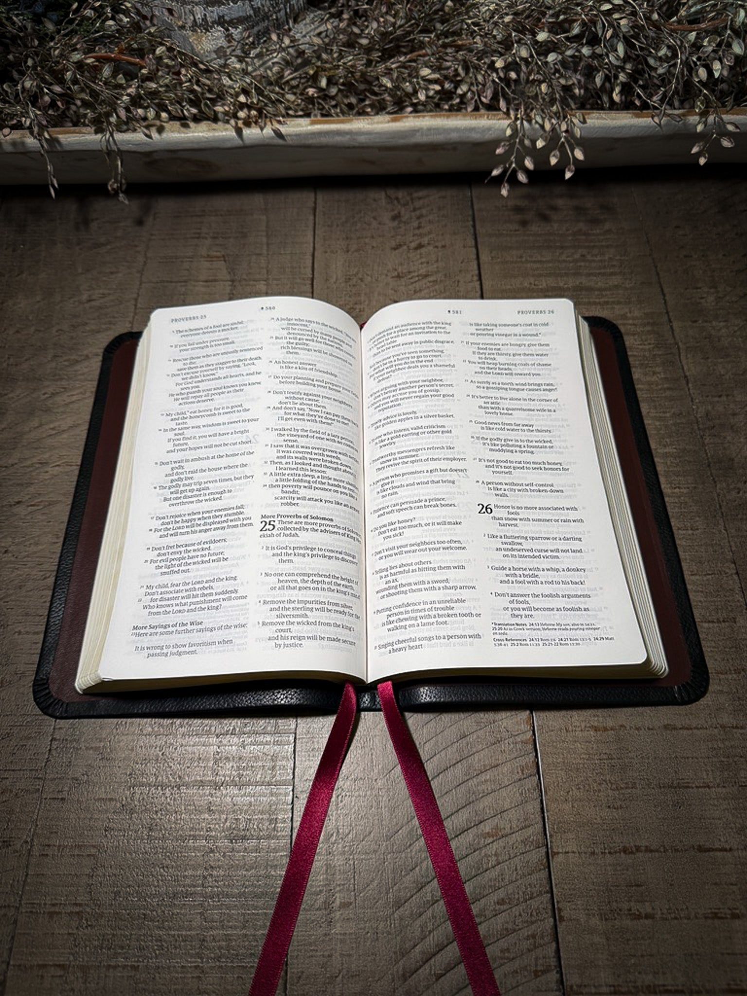 The Standard Series | NLT Large Print Thinline Bible Rebinding