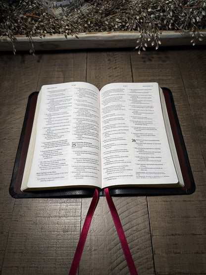 The Standard Series | NLT Large Print Thinline Bible Rebinding
